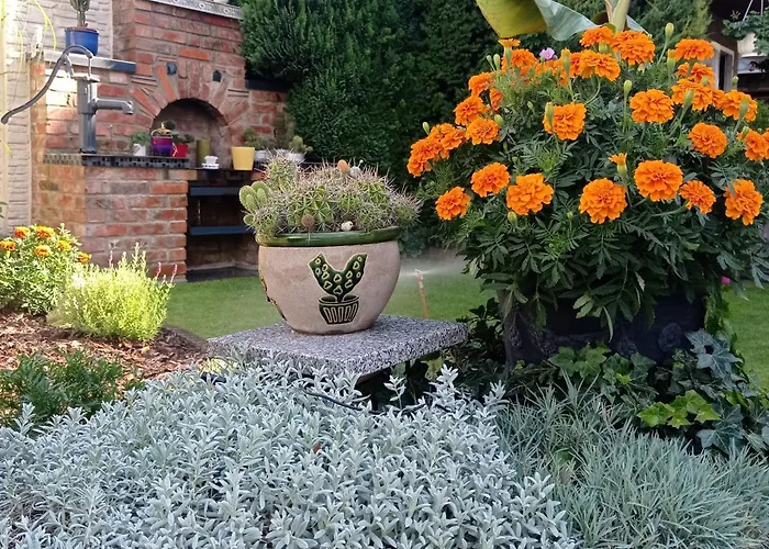 公寓 Usis_ferienwohnung Im Harz *